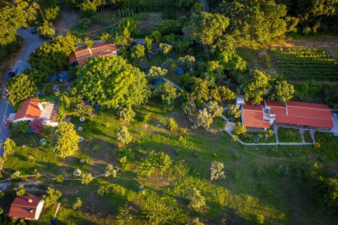 Alekas Studios Therma  Exterior photo